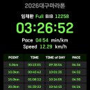 뒤늦은 2026 대구마라톤 후기(부제:어쨌든 PB) 이미지
