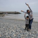 팔영산야영장 이미지