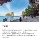김도한여행사