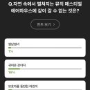 팔라스 이미지