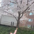 인셀덤하롱
