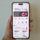 한창 카 써비스 | 6월 7월 제주도 가볼만한 곳 수국 명소 롯데렌터카 G car 패스365 카셰어링 추천