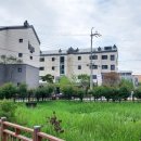 광주서산초등학교 이미지