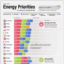 주요 국가의 에너지 최우선 순위 시각화 이미지