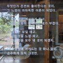 제주 서귀포 안덕면 신화월드 근처 카페 풀베개 / 밥집 시골낙지