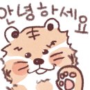 비티에스솔루션 네이버블로그