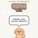 힐링펫 뉴스후