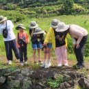 하례초등학교 이미지