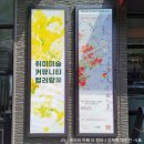 더칼라 이미지