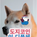 도지 이미지
