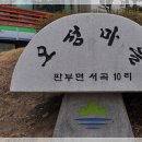 시청로(청솔5차아파트길) 티스토리