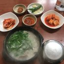 현대돼지국밥