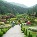 축령산아침 이미지