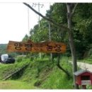 고향자녀농장 이미지