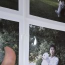 나를치유하는견고한세움임영웅 이미지