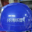 (주)케이디엠텍