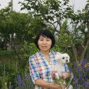민수농장 이미지
