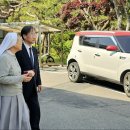 전몰군경미망인회 이미지