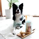 트릿츄잇 | 소형견 양치껌 추천 4가지! 수제라서 깨끗하고 믿을 수 있어요!