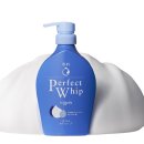 바디퍼펙트 이미지