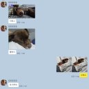 광천토굴젓갈수산 무색소 명란 파지 내돈내산 후기