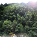 굿모닝 펜션 이미지