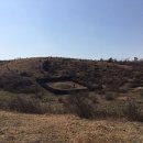 달리오름 이미지