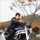 광명체육관 이미지
