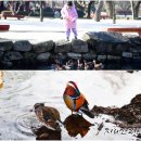 춘향테마파크 서문 이미지