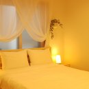 속초로망스애견동반펜션 이미지