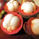 스쿠바민박 이미지