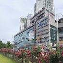 도솔내과의원 이미지