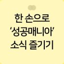 인셀덤서서울