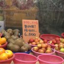 부흥가든 이미지