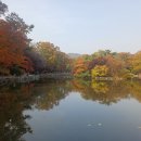 고운길