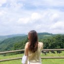 커피인(coffeein) 이미지