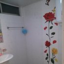 파레스빌 이미지