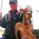 나라3호 이미지