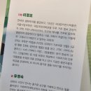 양양하다 이미지