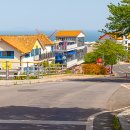 삼동면 전도3 이미지