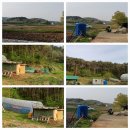 당진학사공인중개사사무소 이미지