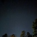 2026 Memorial Day연휴 특별산행- Redwood National &amp; State Park 이미지