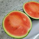 광양 중마동 과일가게 피치마켓 마동점 만족스러운 수박 과일후기