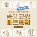 039-2 | 대전 갑천2트리풀시티엘리프 입주 전 꼭 봐야 할 니치039매트 1200빅매트 시공후기