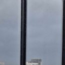 스카리아 이미지