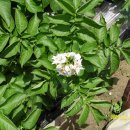 재구농장 이미지