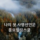 로젠탈 컨설팅 이미지