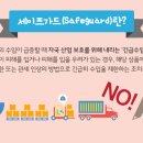 세이프가드 이미지