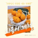 당도 높은 제주 천혜향 5kg중과 후기(네이버 스마트 스토어 루트빈)