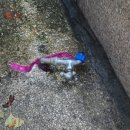 세인설비 이미지